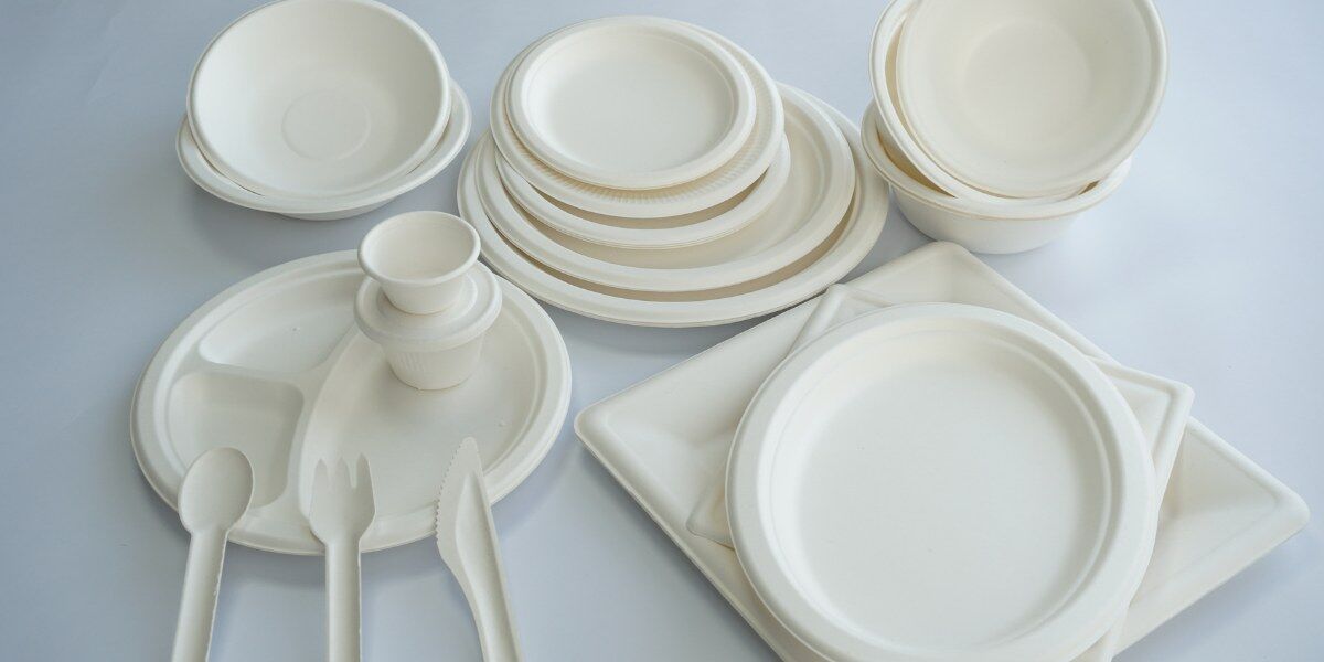 Pulp Tableware What is Bagasse Tableware? | Eco-Friendly Disposable Solutions