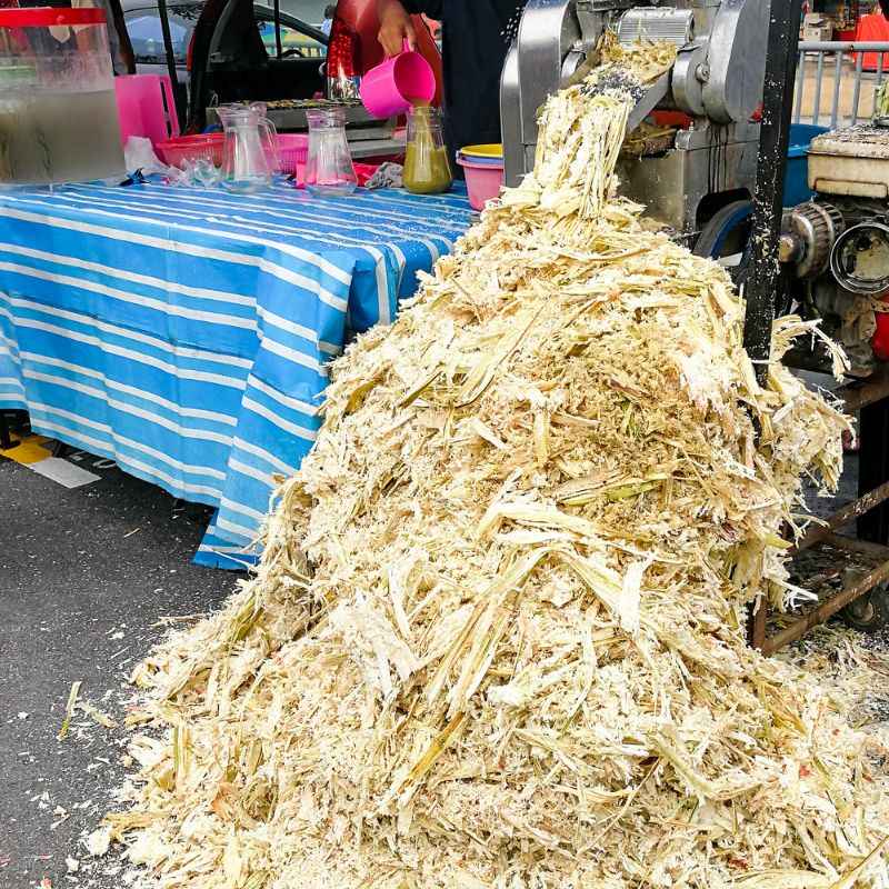 bagasse produce
