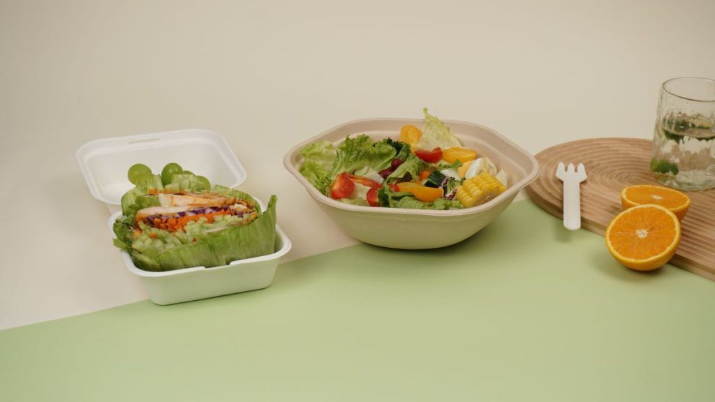 bagasse tableware with food