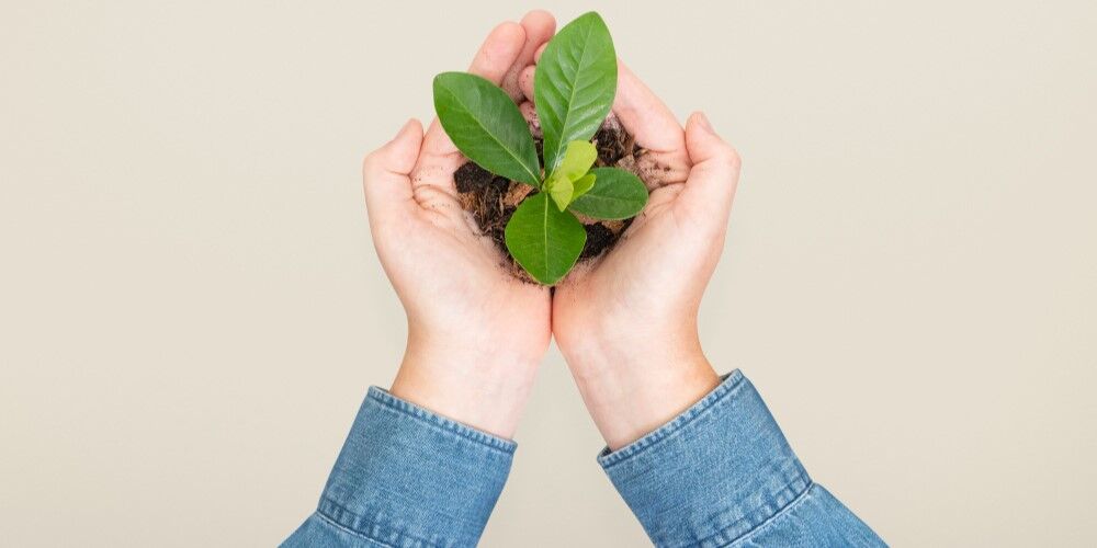 sustainability