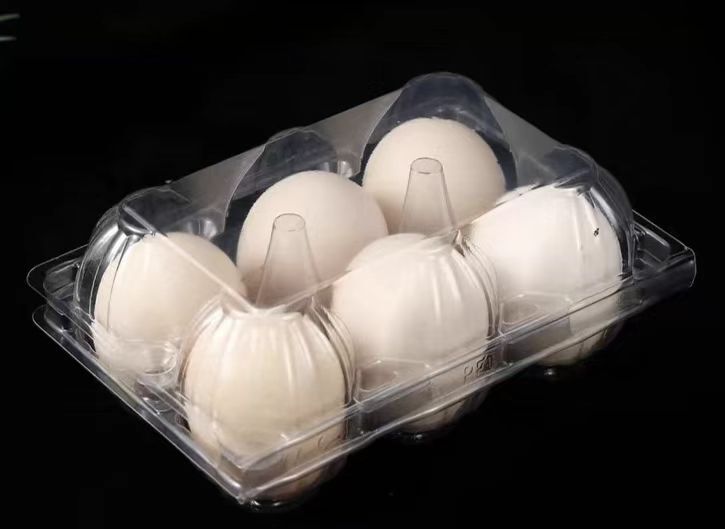 plastic egg carton