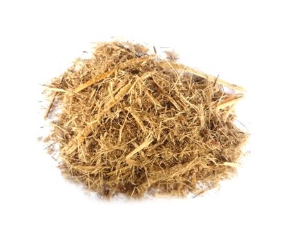 sugar cane fiber
