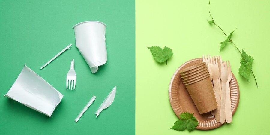 compostable vs. traditional tableware