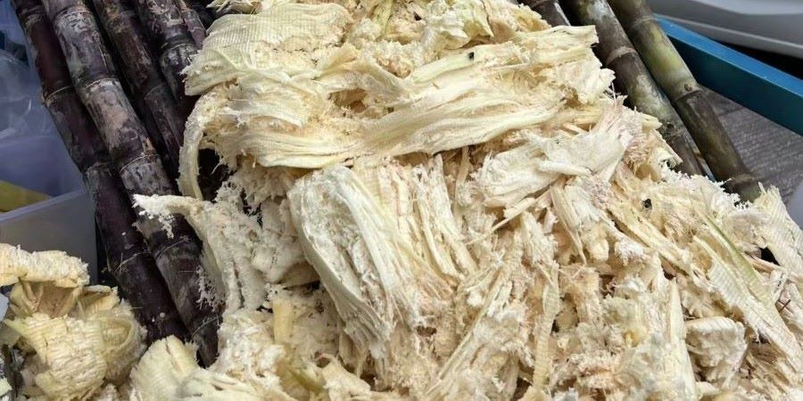 bagasse