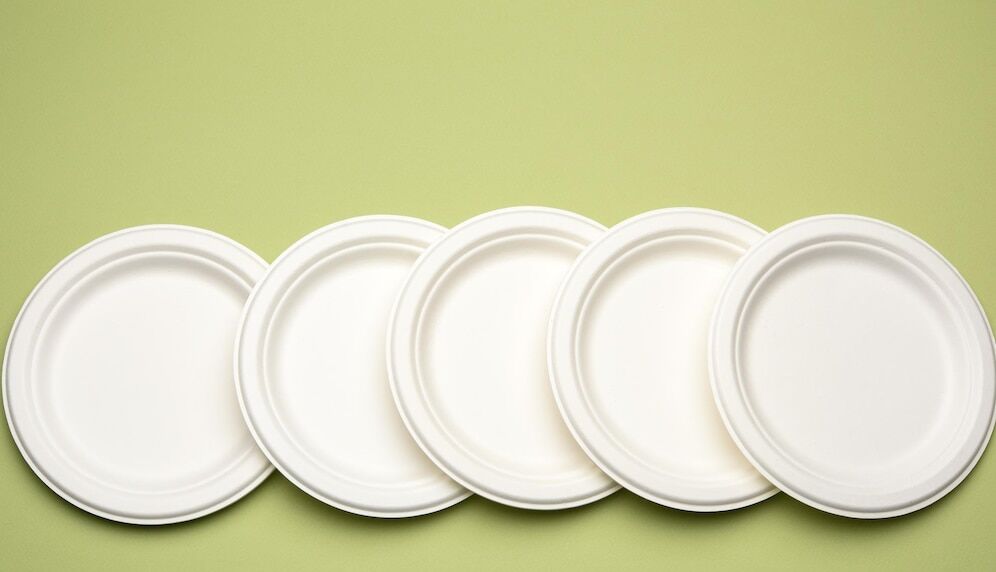 empty white bagasse disposable plates