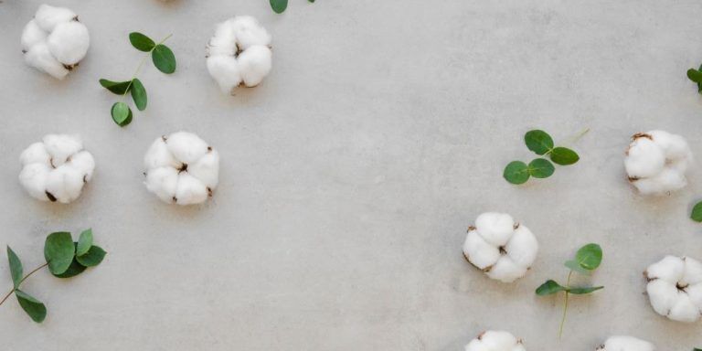 10 Examples of Renewable Materials and Their Benefits - InNaturePack