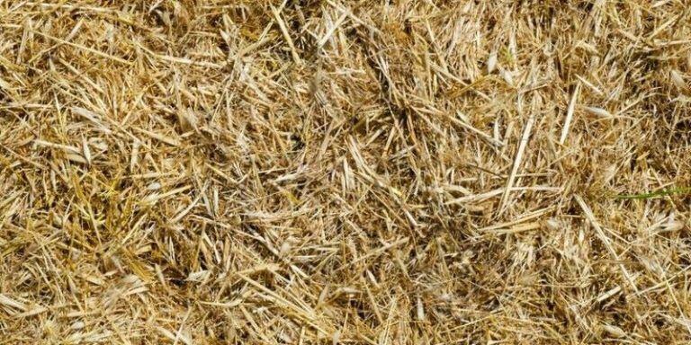 10 Examples of Renewable Materials and Their Benefits - InNaturePack