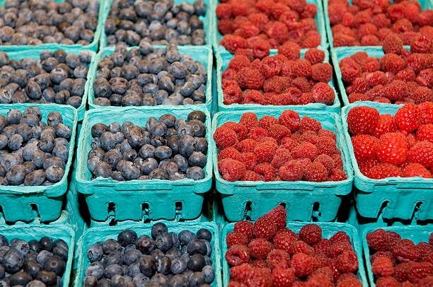 pulp fiber baskets for fresh berries