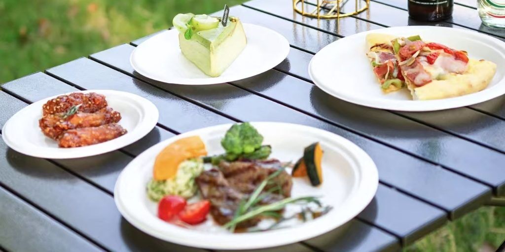 bagasse plate for various food