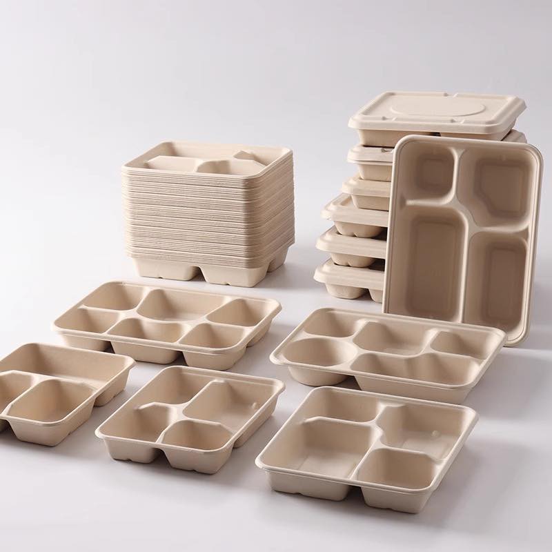 bagasse school lunch tray