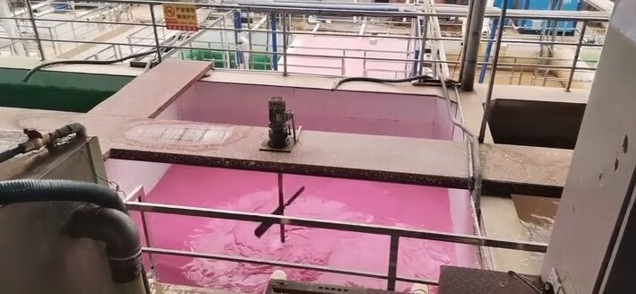 Brazil Pulp Color Not Just White or Natural: Exploring Color Options in Molded Pulp ...