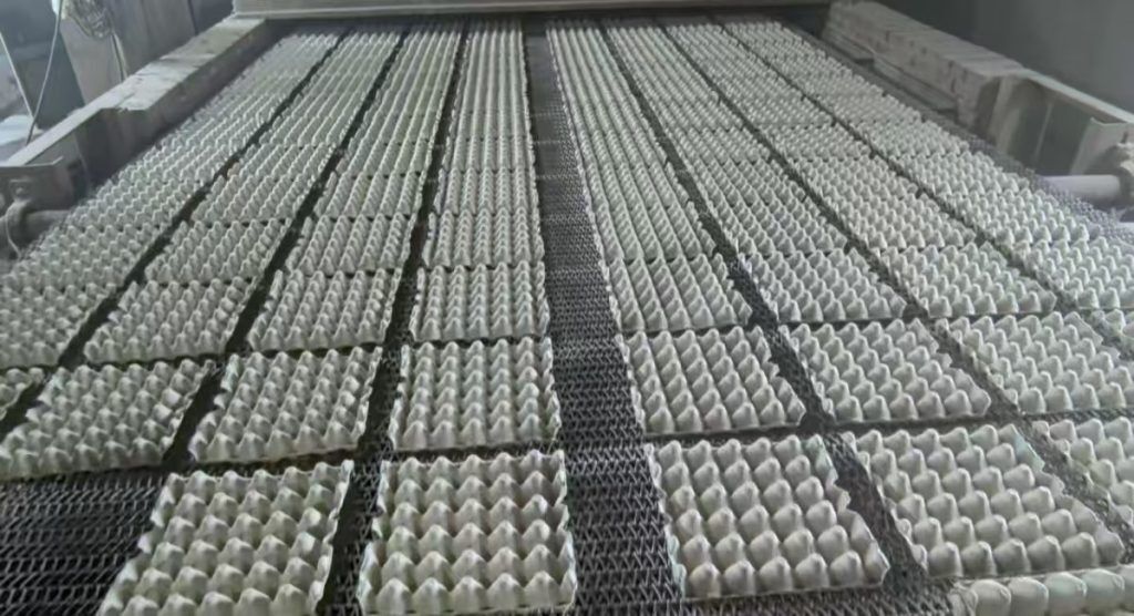 30 egg flats production capacity