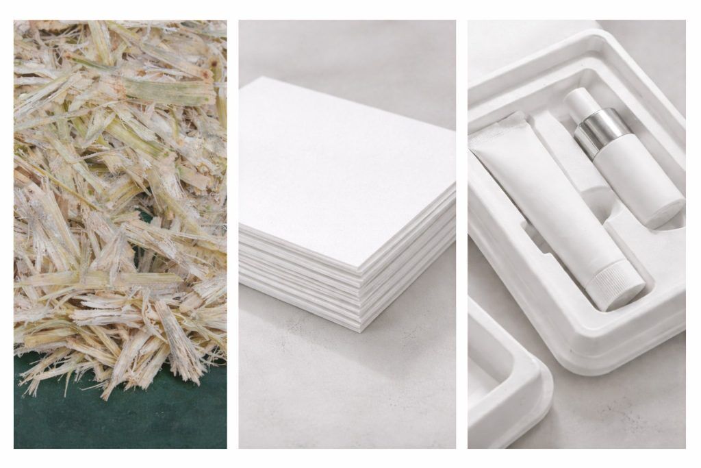 from agricultural residue to premium packaging a journey of purity