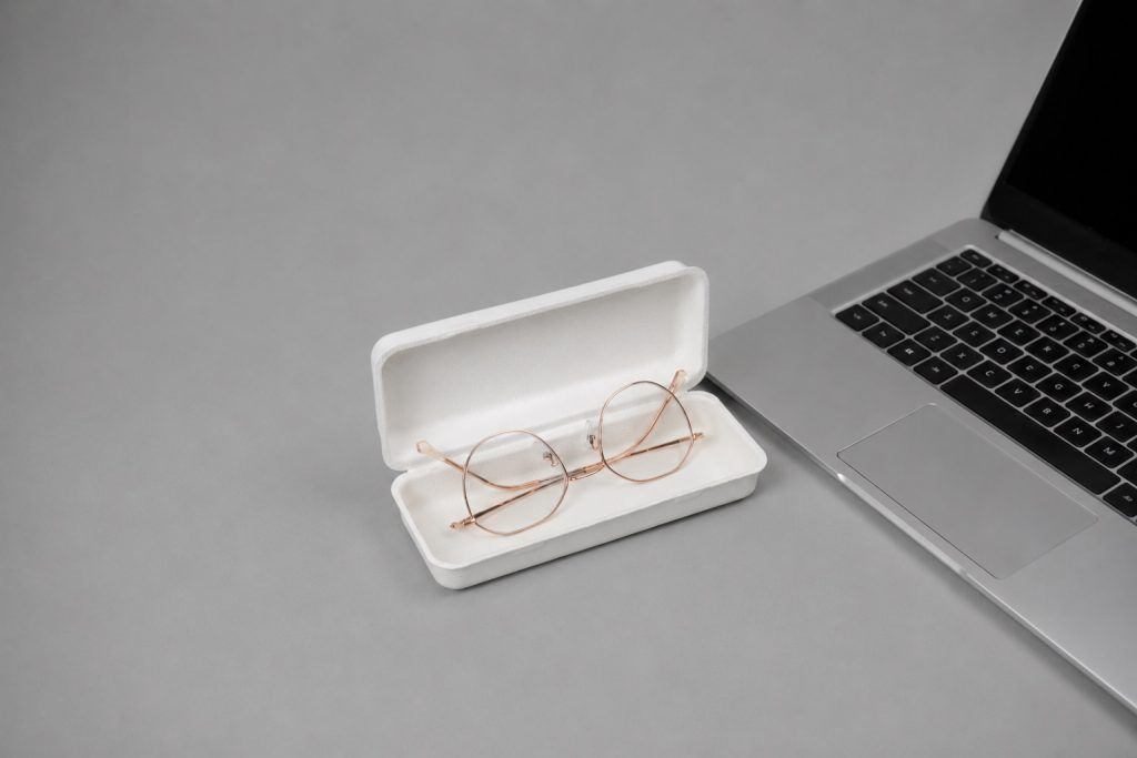 eco friendly eyeglass case