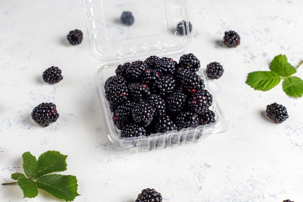 tasty ripe sweet healthy blackberry